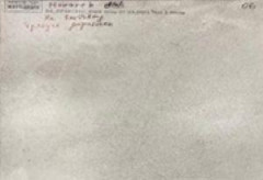 NR204 Керамогранит Elgon Light grey 60*120