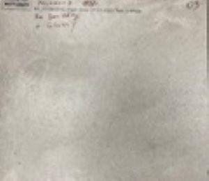 NR114 Керамогранит Maderas Light grey 60*60