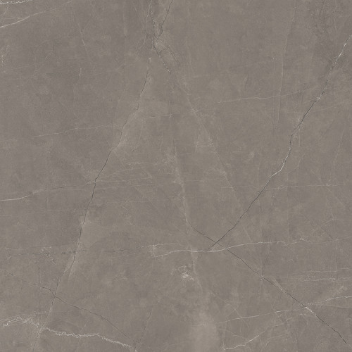 Splash Grey Керамогранит серый 60х60 Сатинированный Карвинг