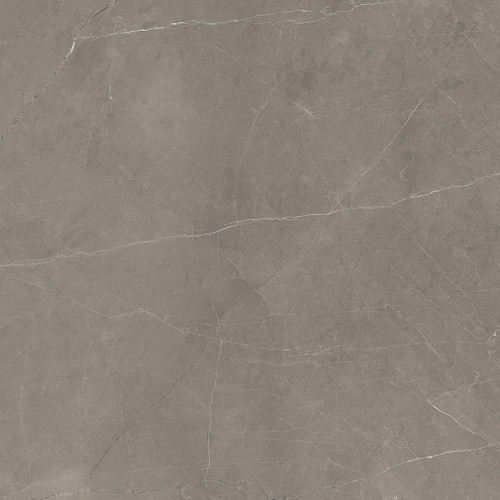 Splash Grey Керамогранит серый 60х60 Сатинированный Карвинг