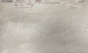 NR207 Керамогранит Maderas Light grey 60*120