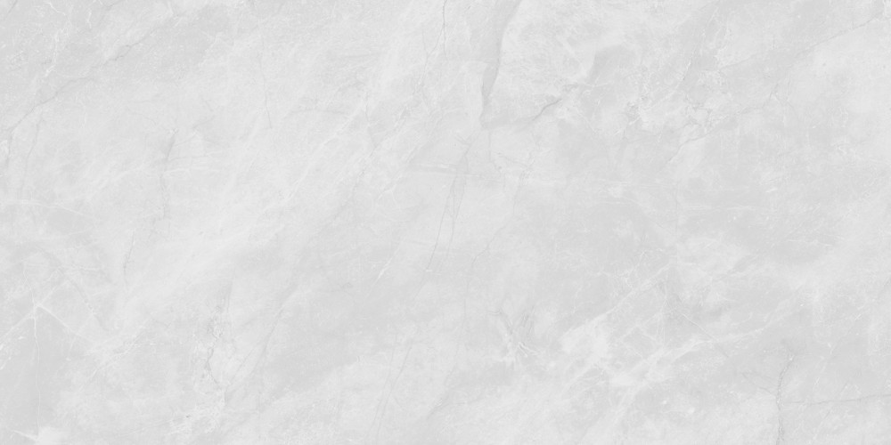 Berna Silver Керамогранит светло-серый LP6012G0231R 59,5х119,1 матовый