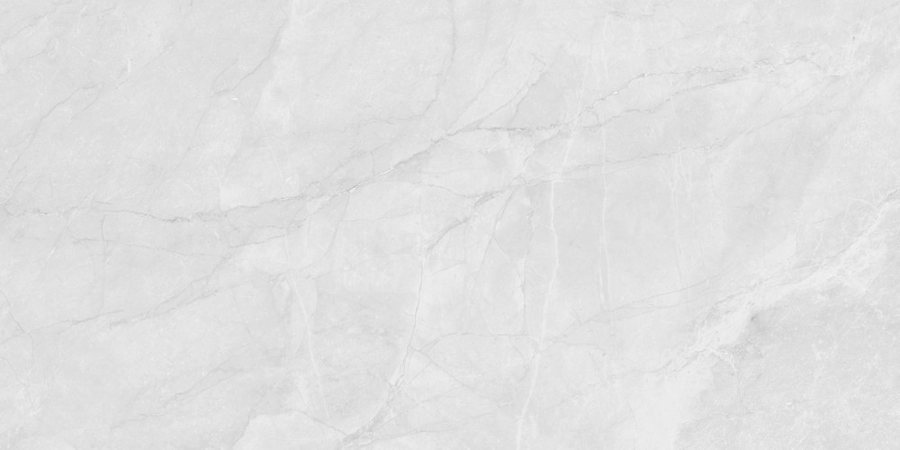 Berna Silver Керамогранит светло-серый LP6012G0231R 59,5х119,1 матовый