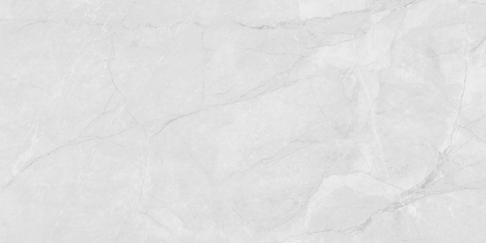 Berna Silver Керамогранит светло-серый LP6012G0231R 59,5х119,1 матовый