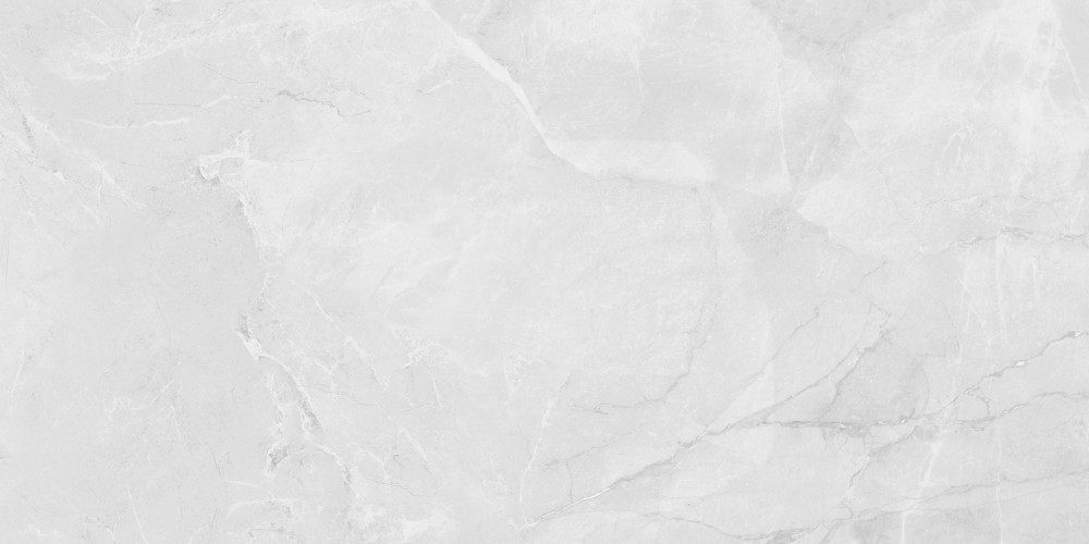 Berna Silver Керамогранит светло-серый LP6012G0231R 59,5х119,1 матовый