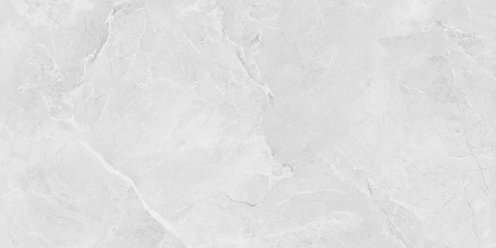 Berna Silver Керамогранит светло-серый LP6012G0231R 59,5х119,1 матовый