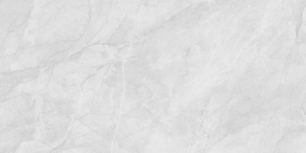 Berna Silver Керамогранит светло-серый LP6012G0231R 59,5х119,1 матовый