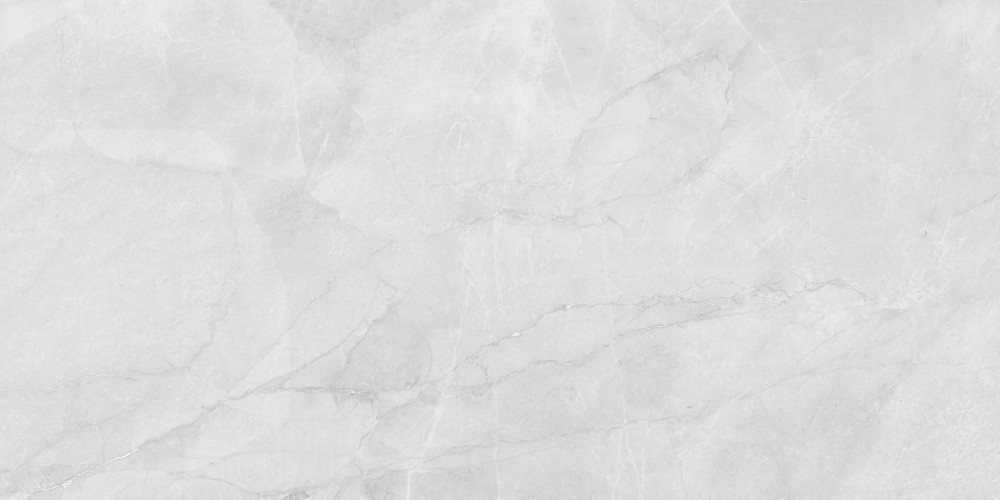 Berna Silver Керамогранит светло-серый LP6012G0231R 59,5х119,1 матовый