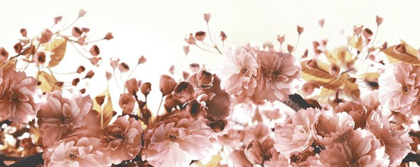 Романтика Панно тип 2 20х50