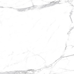 Carrara Terrific Silver Керамогранит белый 60х60 Матовый