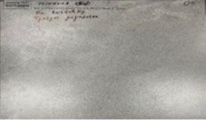 NR206 Керамогранит Elgon Grey 60*120