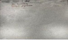 NR206 Керамогранит Elgon Grey 60*120