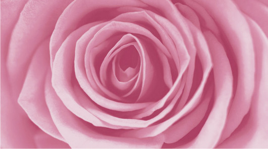 Dec Rose Декор 25х45