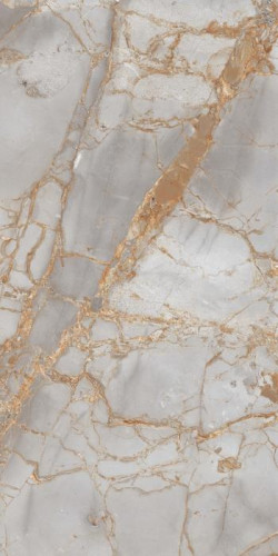 PR212 Керамогранит Golden Grey Polished 60*120 1,44 м2 #