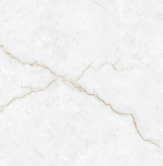 Torso Gold Керамогранит 60х60 Полированный