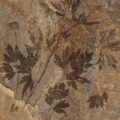 Денвер 4Д Керамогранит терракотовый декор 40х40