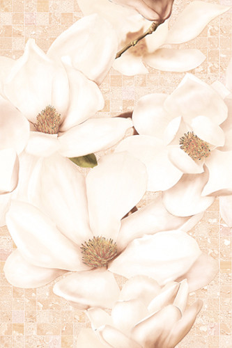 Linda Декор (LI2N011DT) 30x45