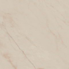 Винетта Керамогранит бежевый светлый матовый SG173800N 40,2x40,2