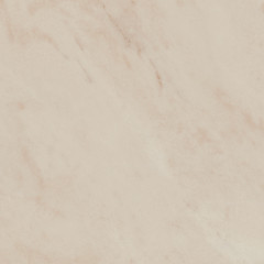 Винетта Керамогранит бежевый светлый матовый SG173800N 40,2x40,2