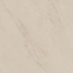 Винетта Керамогранит бежевый светлый матовый SG173800N 40,2x40,2