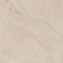 Винетта Керамогранит бежевый светлый матовый SG173800N 40,2x40,2