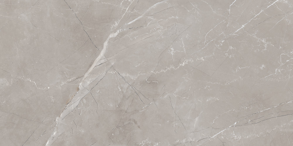 Vitrum Grigio Керамогранит серый 60x120 полированный