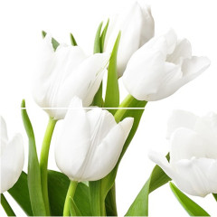 Элара Панно Триумф верде 40,5х40,2 (комплект из 2-х пл.)