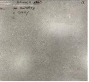 NR120 Керамогранит Nemo Grey 60*60