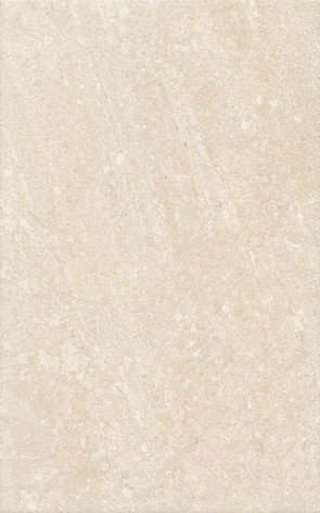 Феличе Плитка настенная 6193 25х40