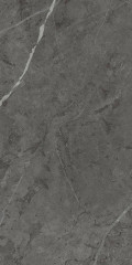 Шарм Эво Антрачит 60х120 нат. ретт