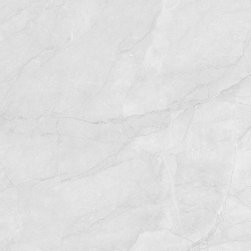 Berna Silver Керамогранит светло-серый LP6060G0241R 59,5х59,5 матовый