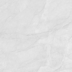 Berna Silver Керамогранит светло-серый LP6060G0241R 59,5х59,5 матовый