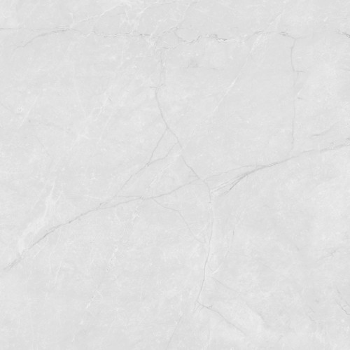 Berna Silver Керамогранит светло-серый LP6060G0241R 59,5х59,5 матовый