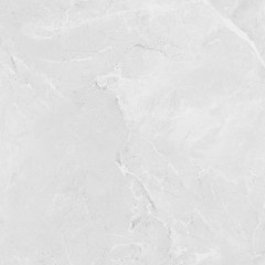 Berna Silver Керамогранит светло-серый LP6060G0241R 59,5х59,5 матовый