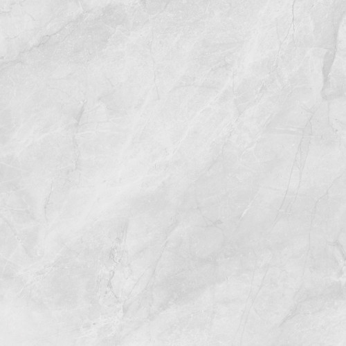 Berna Silver Керамогранит светло-серый LP6060G0241R 59,5х59,5 матовый