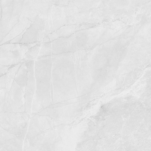 Berna Silver Керамогранит светло-серый LP6060G0241R 59,5х59,5 матовый