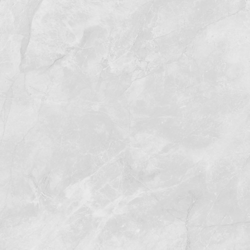 Berna Silver Керамогранит светло-серый LP6060G0241R 59,5х59,5 матовый