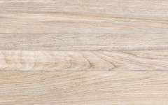 Парфюм Плитка настенная светлый 09-00-11-365 25х40