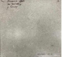 NR121 Керамогранит Nemo Light grey 60*60