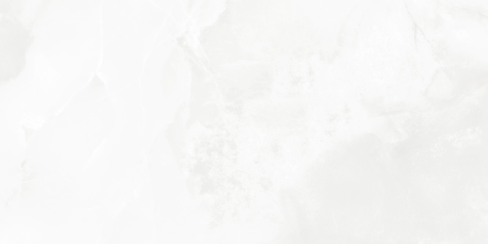 Bernini Bianco Керамогранит белый LP6012G0541R 59,5х119,1 глянцевые чернила