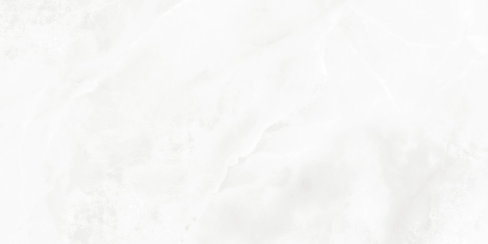 Bernini Bianco Керамогранит белый LP6012G0541R 59,5х119,1 глянцевые чернила